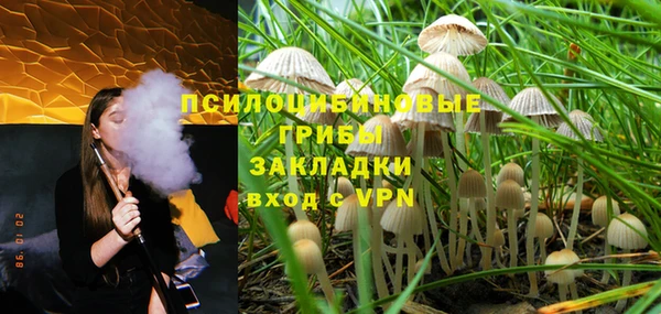 ПСИЛОЦИБИНОВЫЕ ГРИБЫ Абдулино